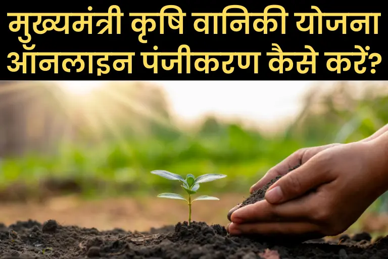 Bihar Krishi Vaniki Yojana 2023: बिहार मुख्यमंत्री कृषि वानिकी योजना ऑनलाइन पंजीकरण कैसे करें?